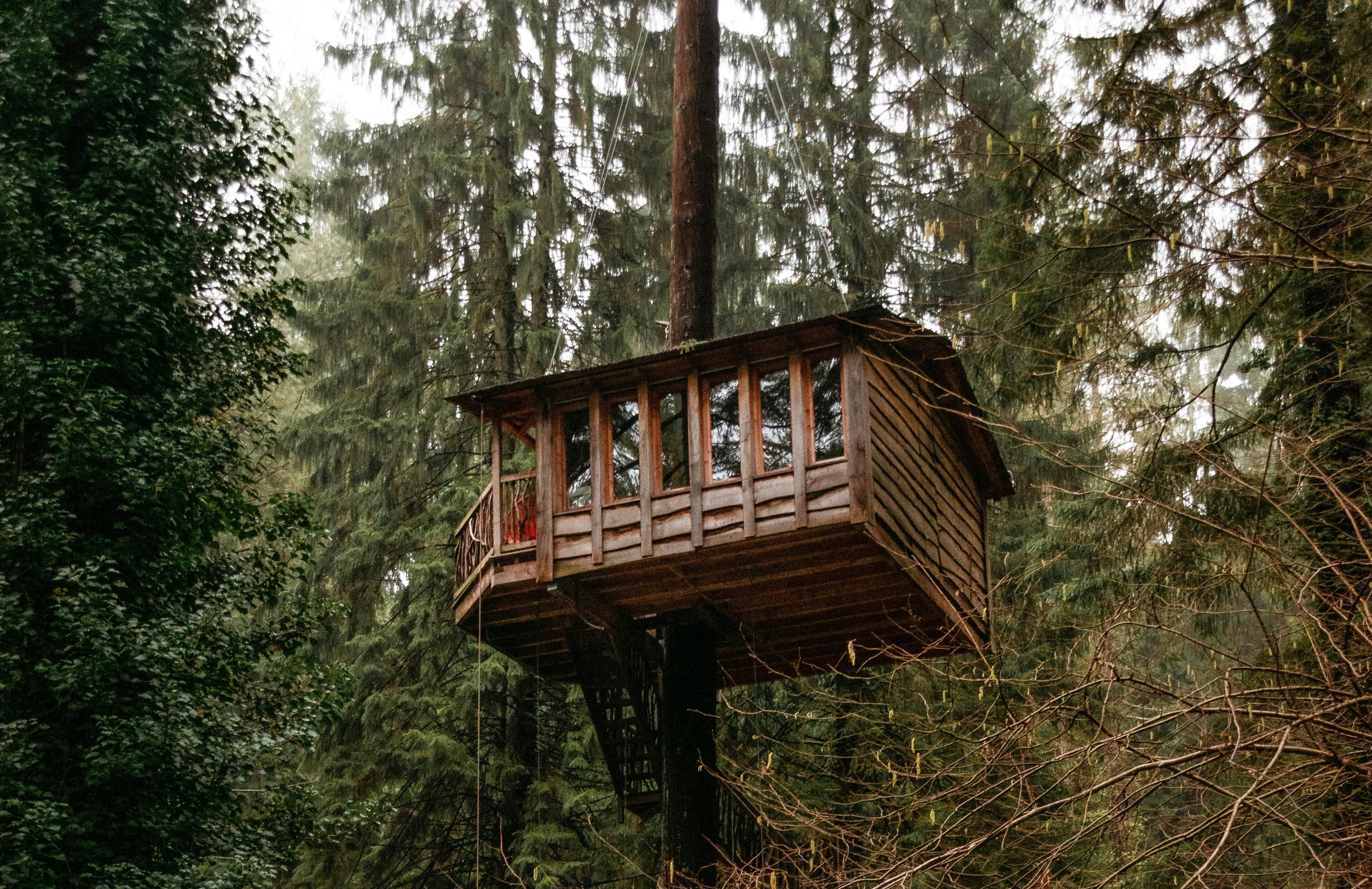 Luxuriöses Glamping-Baumhaus hoch oben zwischen den Bäumen