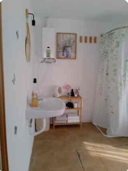 image-1015