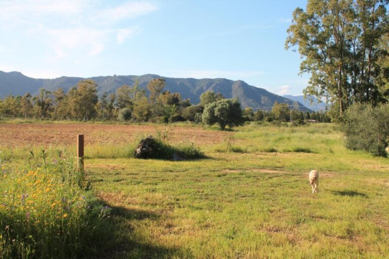 Glamping Unterkünfte auf dem Campingplatz in Castiadas, Südsardinien