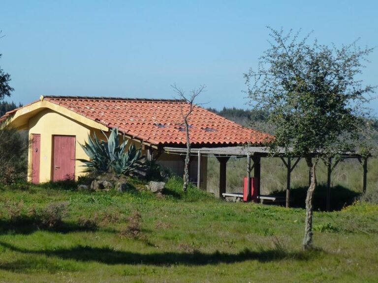 image-668