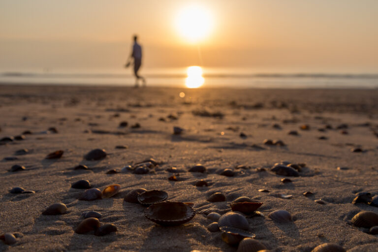 Holidayhouse - Piet Mondriaanstraat 6a | Domburg