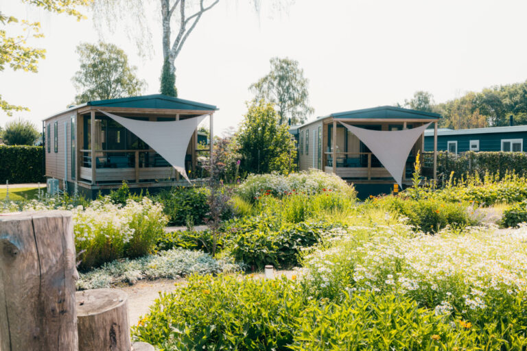 4-persoons Tiny Lodge