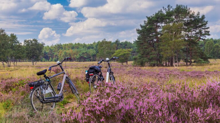 4+4 person Veluwe lounge