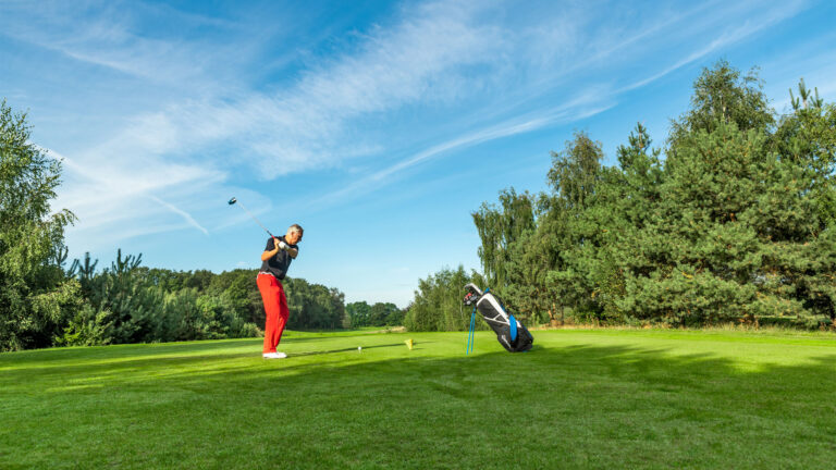 Birdie 4p