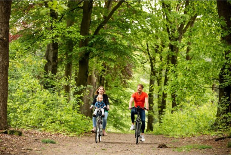 Lodge royal 6 people Wellness