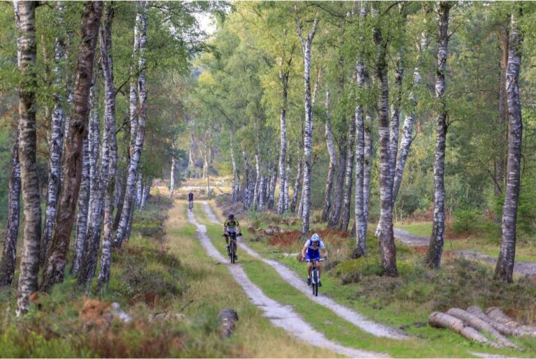 Veluwe hoeve 5 people