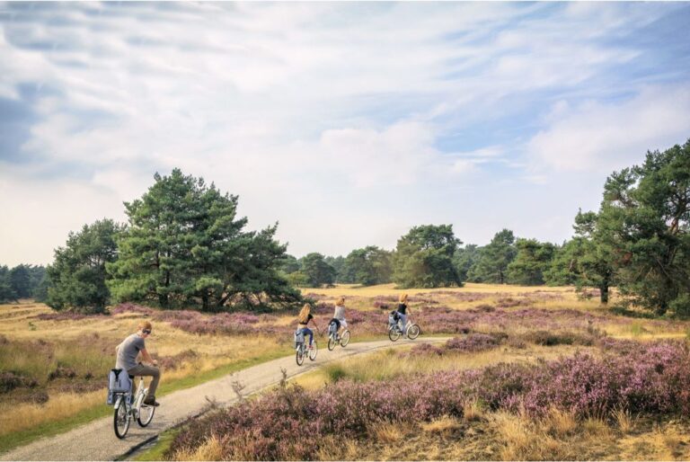 Veluwe hoeve 5 people