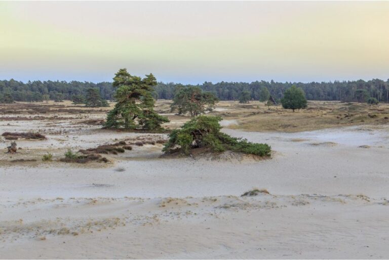Veluwe hoeve 5 people