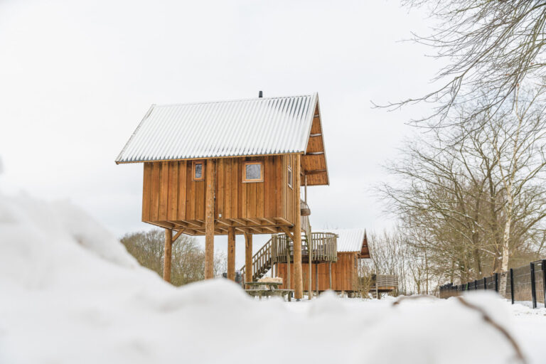Tree house