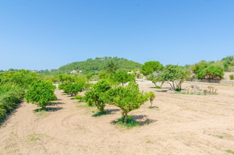 Sa Rota (Den Joan Porrerenc)
