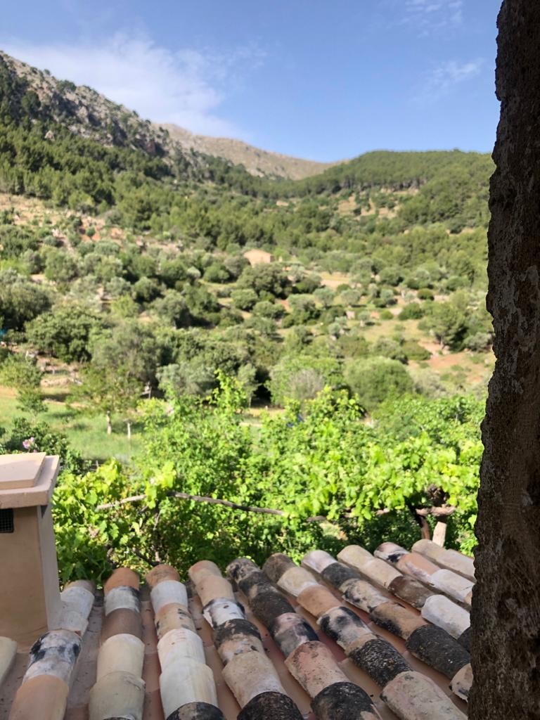 Can Peñes