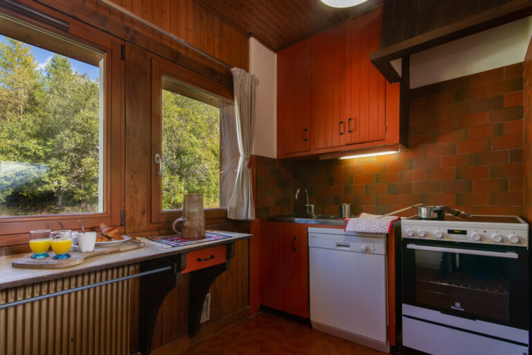 Chalet Dava La Via ski in/ski out