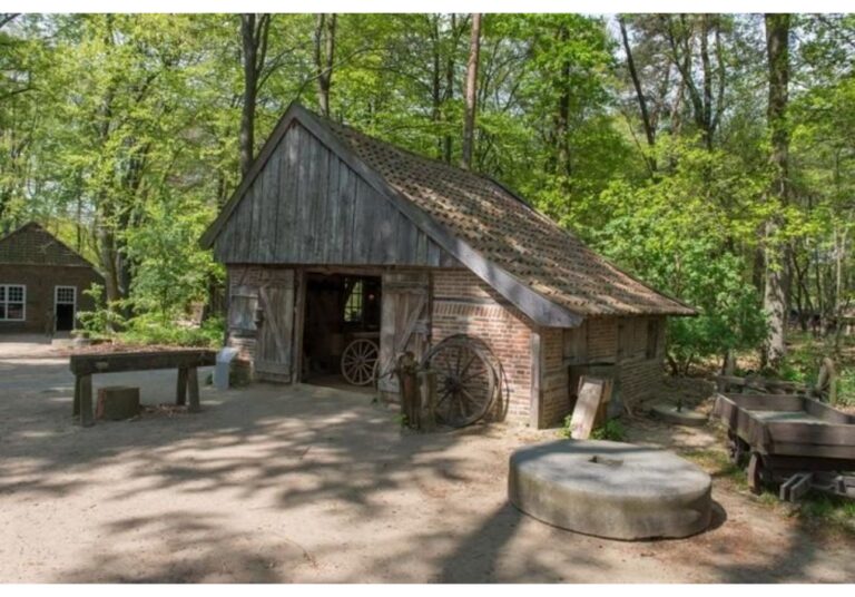 6 + 6 person Veluwelodge XL with grill house