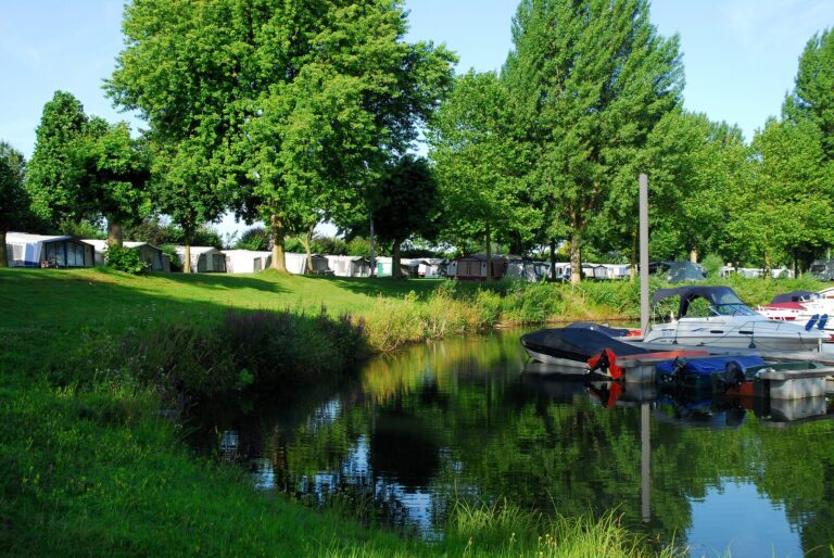 Tiny River House