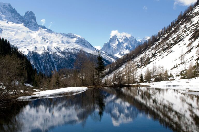 Chamonix Sud - Jonquilles 25