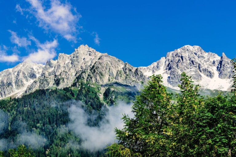 Chamonix Sud - Jonquilles 25