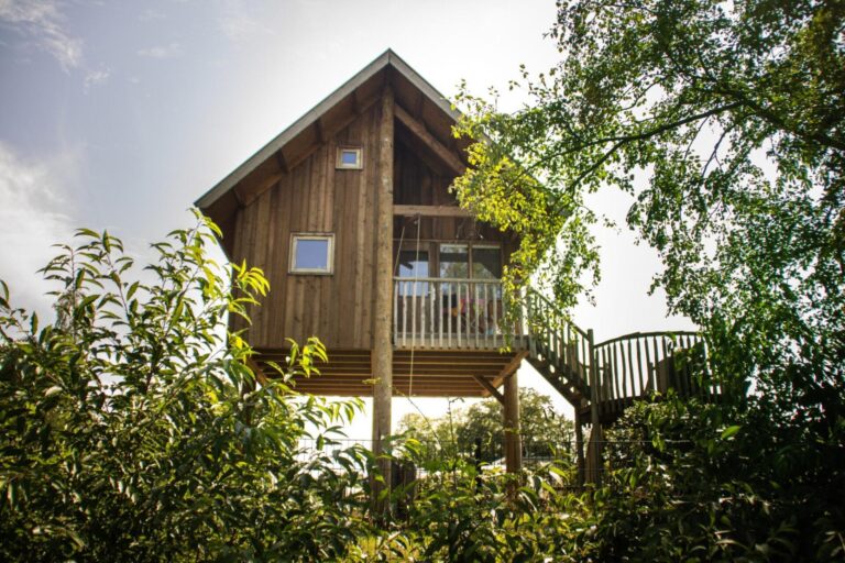 Tree house