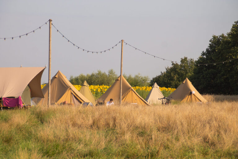 Pop-up glamping: Buurvrouws' Belltentje | 2-4 pers.