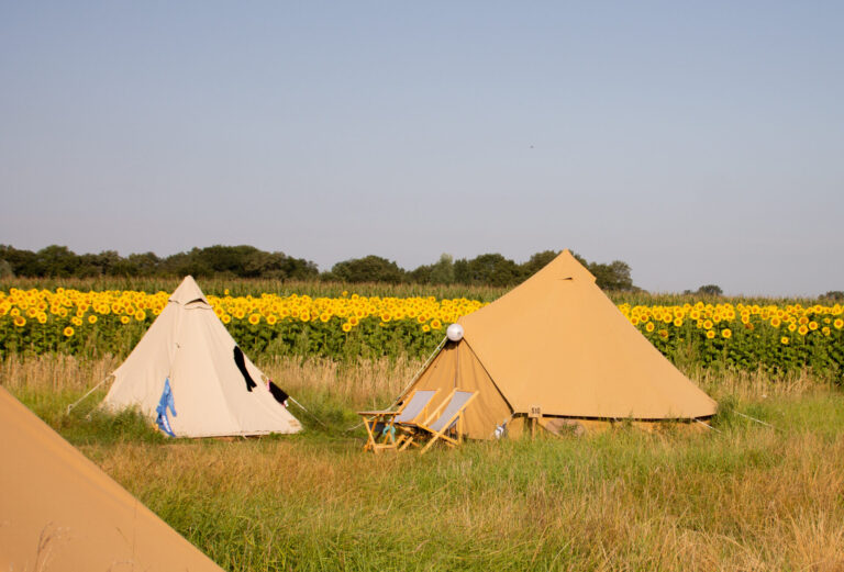 Pop-up glamping: Buurvrouws' Belltentje | 2-4 pers.
