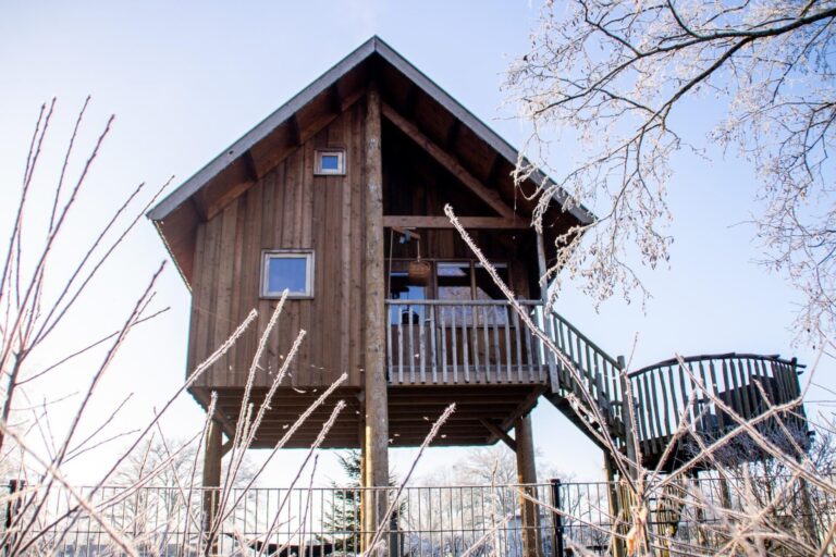 Tree house