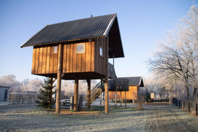 Tree house