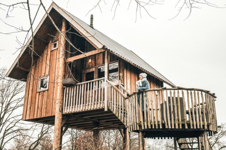 Tree house