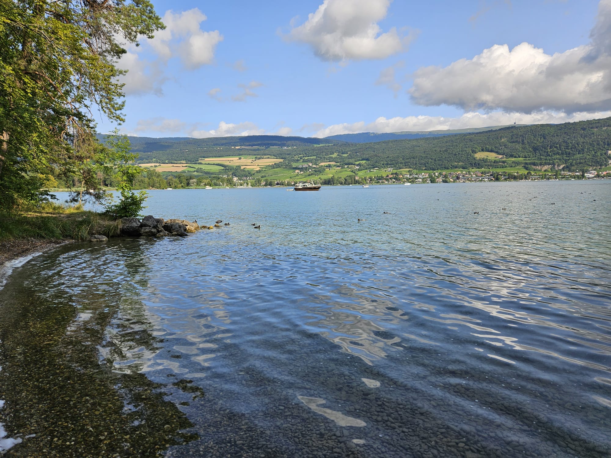 Seeufer an einem schönen Tag