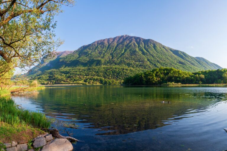 Baita Immersa Nel Verde