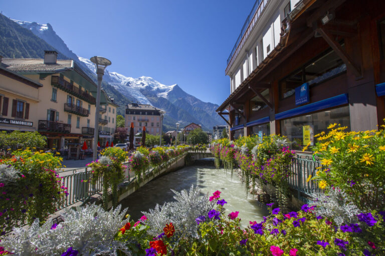 Chamonix Sud - Jonquilles 25