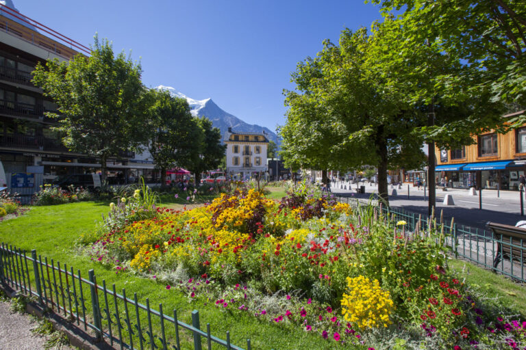Chamonix Sud - Jonquilles 25