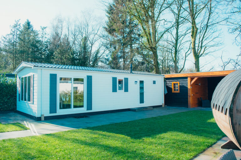 6 person Veluwe lodge Wellness Plus