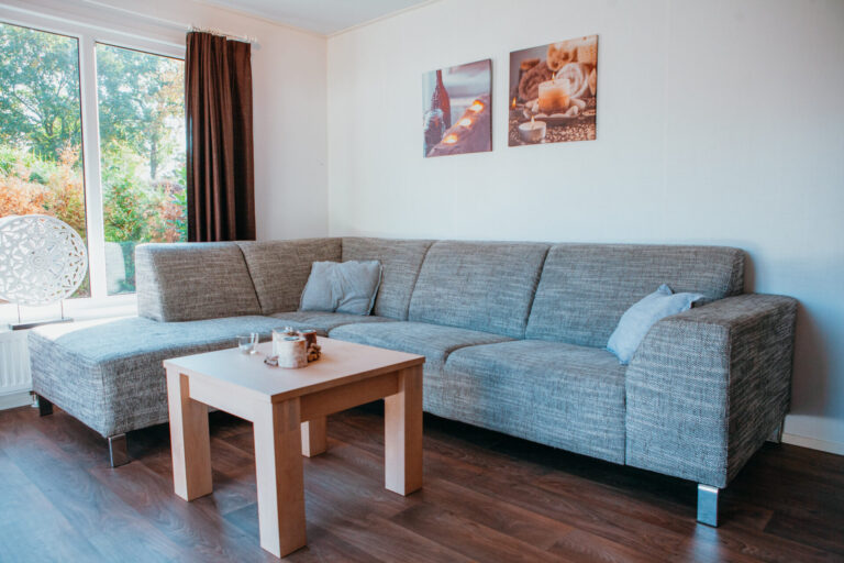6 person Veluwe lodge Wellness Plus