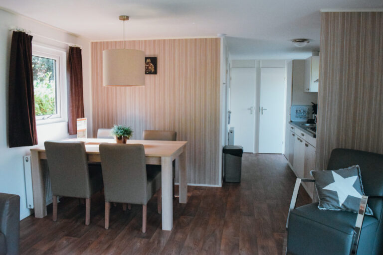 6 person Veluwe lodge Wellness Plus