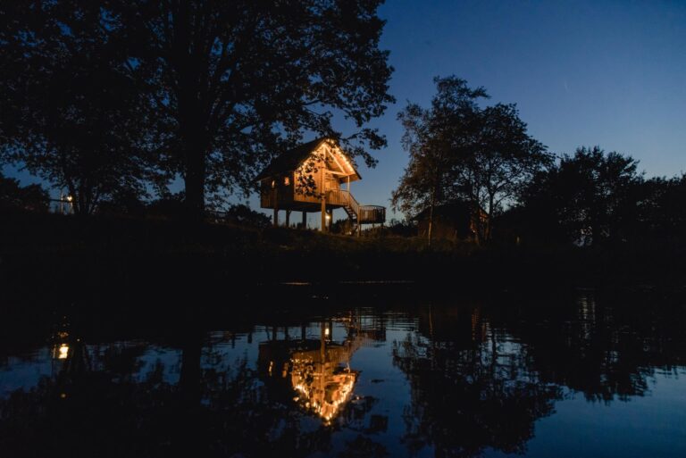 Tree house