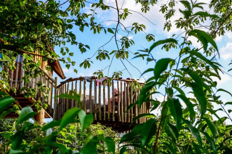 Tree house