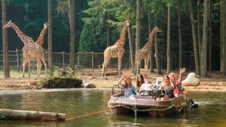 6-person Family lodge
