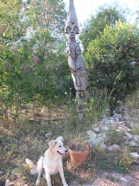 image-41