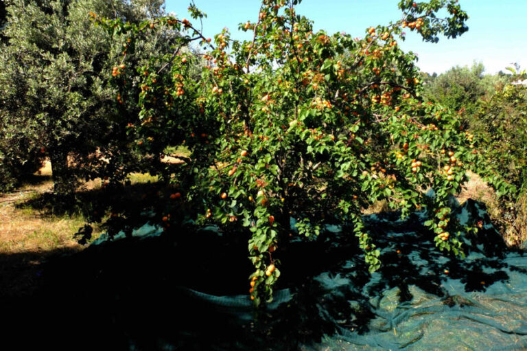 image-49