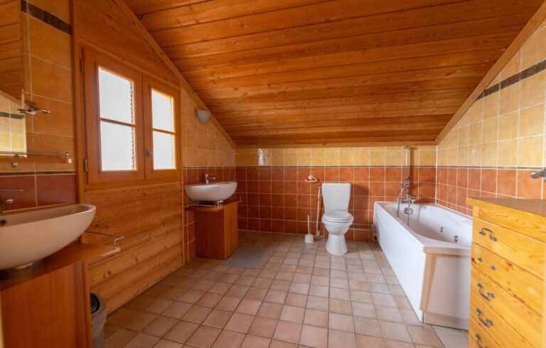 location-alpe-d-huez-chalet-odalys-diane-6