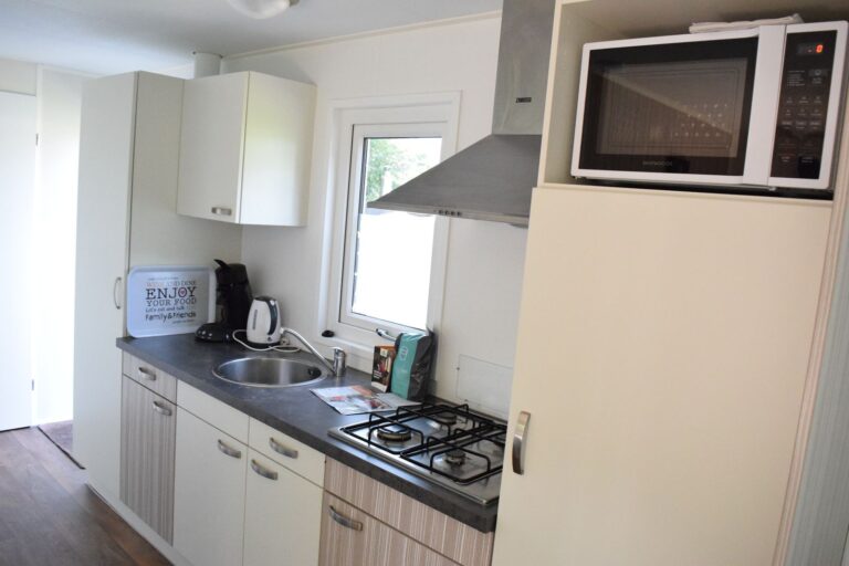 6 person Veluwe lodge Wellness Plus