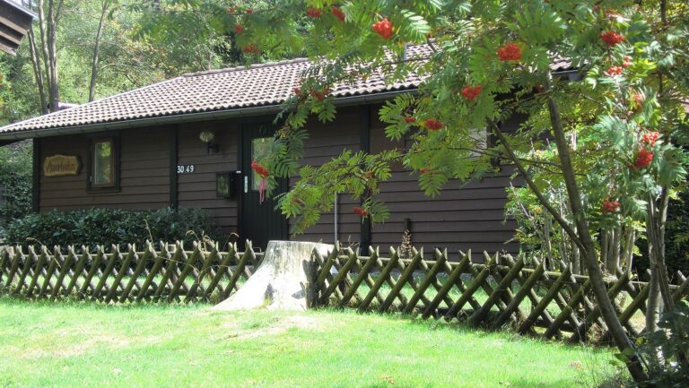 Ferienhaus Kamin