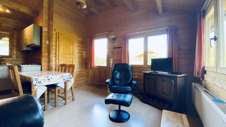 VZ851 Ferienhütte in Ossenisse