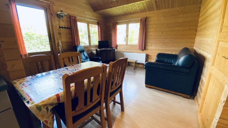 VZ851 Ferienhütte in Ossenisse