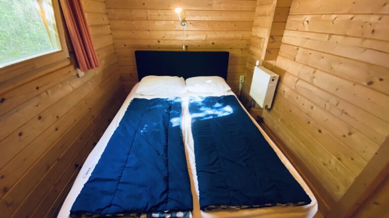 VZ851 Ferienhütte in Ossenisse
