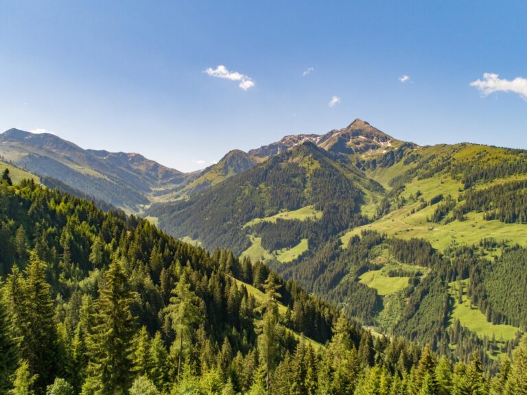 EAGGA-Niederleger Alm