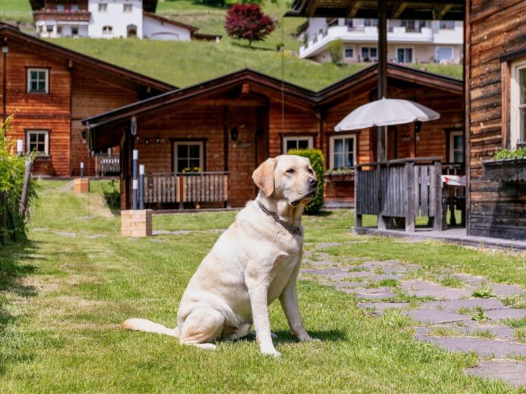 Uriges Chalet 3