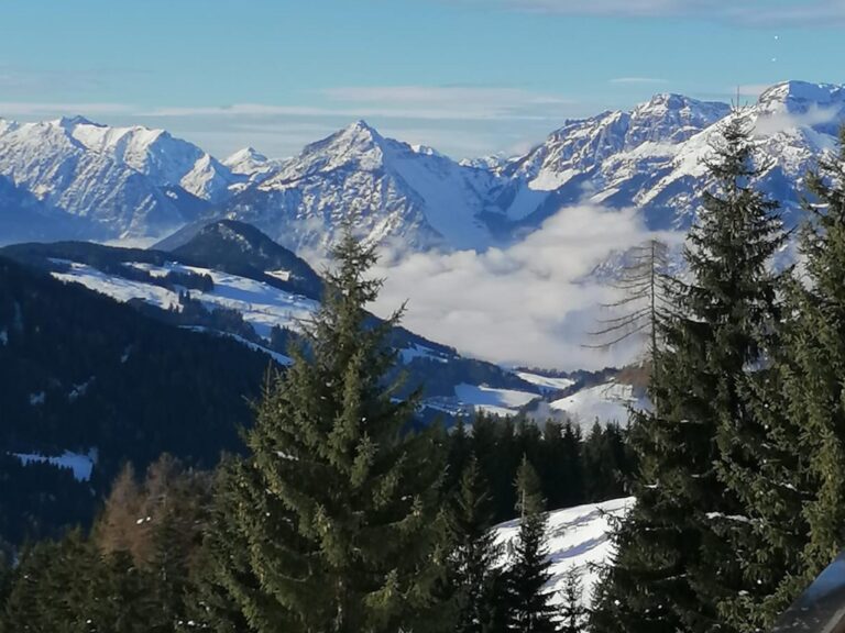 EAGGA-Niederleger Alm