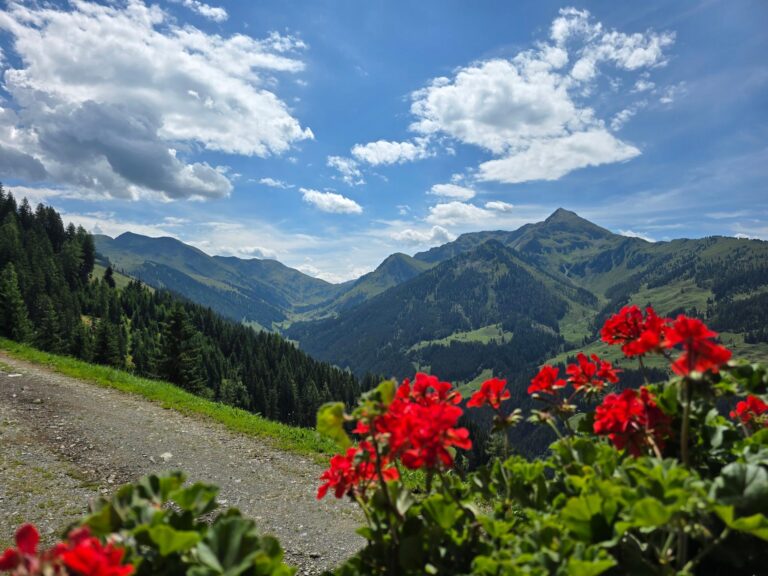 EAGGA-Niederleger Alm