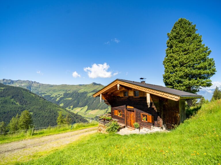 EAGGA-Niederleger Alm
