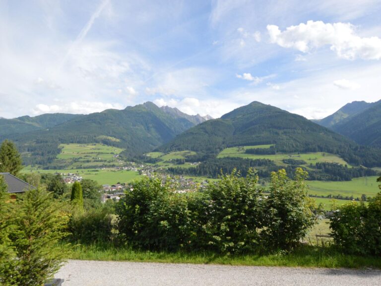 Mondholz